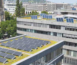 Bundesförderung für Solargründächer zurückgestellt