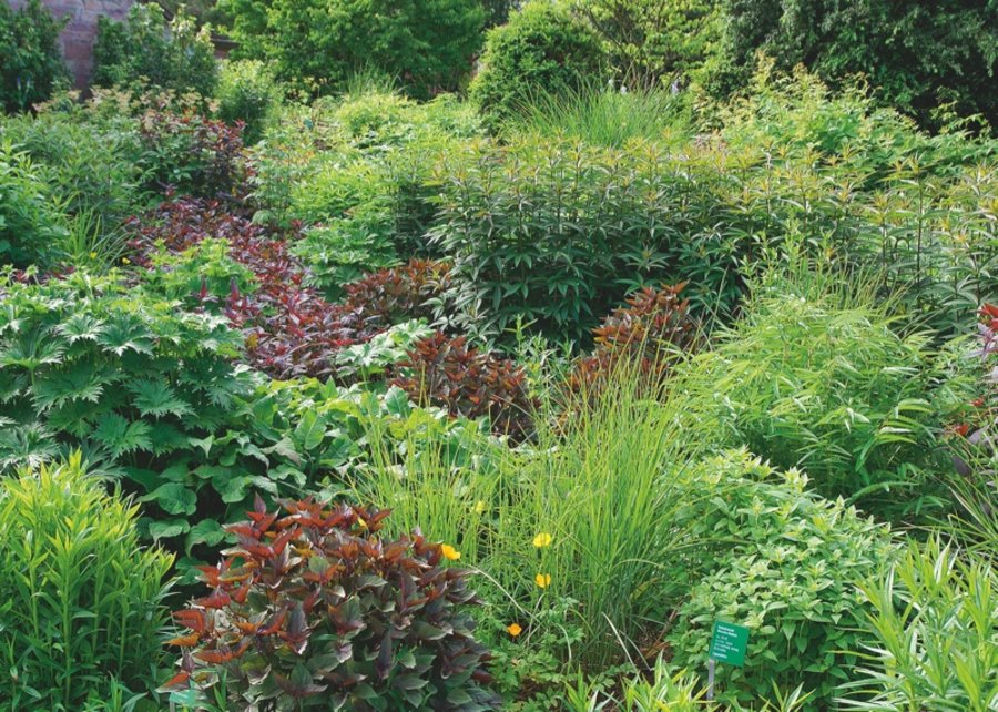 Gartengestaltung und Grünflächengestaltung