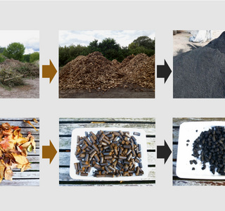 CarbonStoreAge-Projekt: Klimapositive Baumsubstrate mit Pflanzenkohle 
