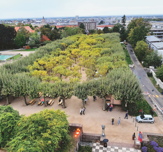 Darmstadt: Platanenhain in historischer Parkanlage ist saniert und bereit für den Klimawandel