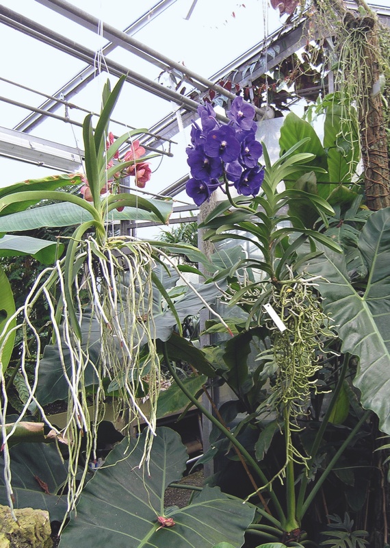 Botanischer Garten Saarbrucken Nach 64 Jahren Geschlossen