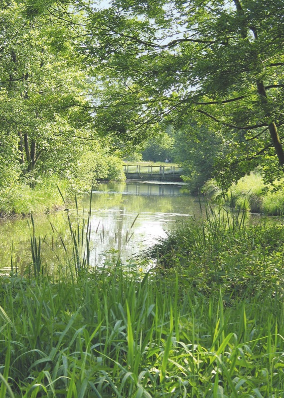 Nachrichten und Aktuelles NRW GaLaBauVerband