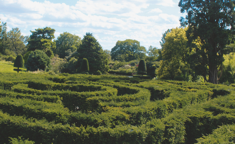 Irrgärten Gartengestaltung