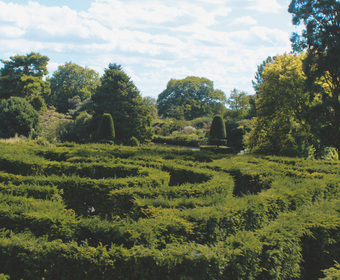 Irrgärten Gartengestaltung