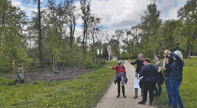 Stiftung Preußische Schlösser und Gärten Berlin-Brandenburg (SPSG) Baumpflanzung