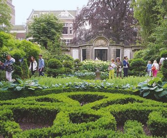 Amsterdam Gartengestaltung