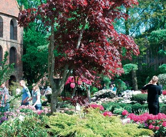 Rhododendron Messen und Veranstaltungen