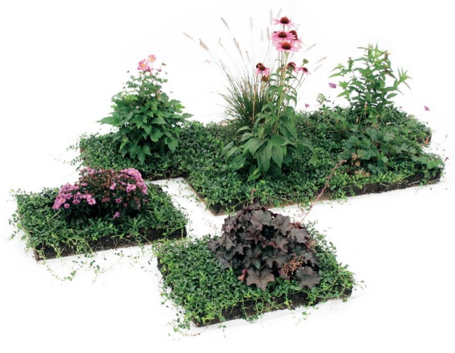 Daniel Labhard Nachhaltigkeit Gartengestaltung und Grünflächengestaltung