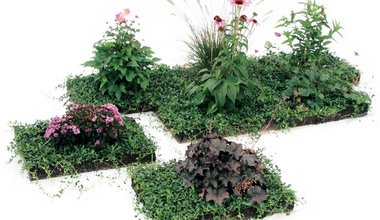Daniel Labhard Nachhaltigkeit Gartengestaltung und Grünflächengestaltung