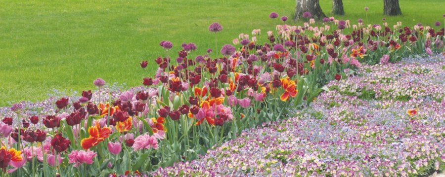 Blumenbeete Historische Parks und Gärten