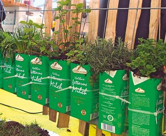Urban Gardening Pflanzenverwendung