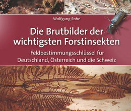Die Brutbilder der wichtigsten Forstinsekten: Feldbestimmungsschlüssel für Deutschland, Österreich und die Schweiz