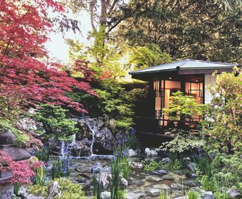 Japanische Gärten Gartentrends