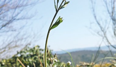 Forschung und Bildung