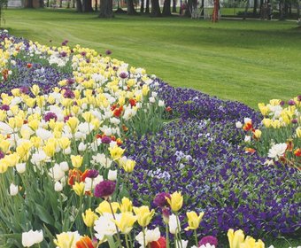Blumenbeete Historische Parks und Gärten