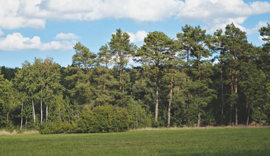 Artenvielfalt Landschaftsarchitektur