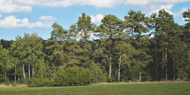 Artenvielfalt Landschaftsarchitektur