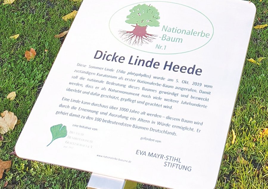 Deutsche Dendrologische Gesellschaft (DDG) Baumdenkmal