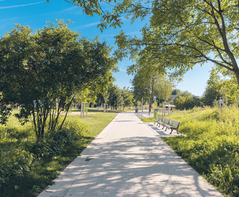 Stadtparks Spielplätze