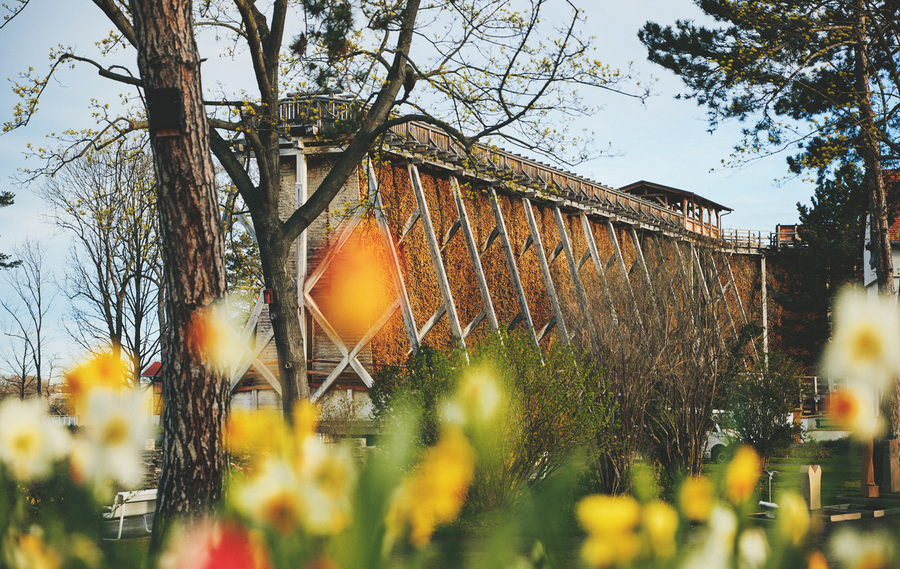 Gartenschauen Landesgartenschauen und Grünprojekte