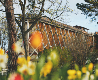 Gartenschauen Landesgartenschauen und Grünprojekte