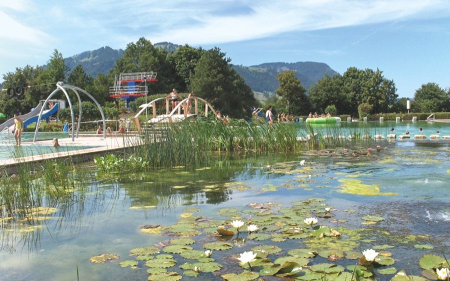 Schwimmbäder Forschungsgesellschaft Landschaftsentwicklung Landschaftsbau (FLL)