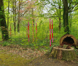 Aktionstag zum Klimawandel in historischen Gärten und Parks