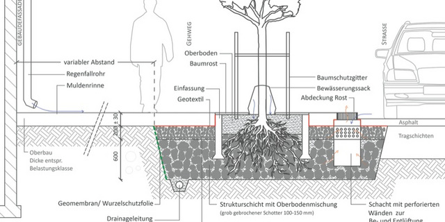 Arboristik