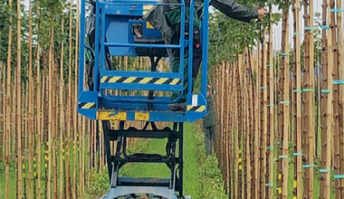 Baumschulen Unternehmen