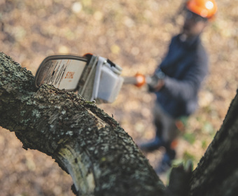 Stihl Entaster Baumpflege