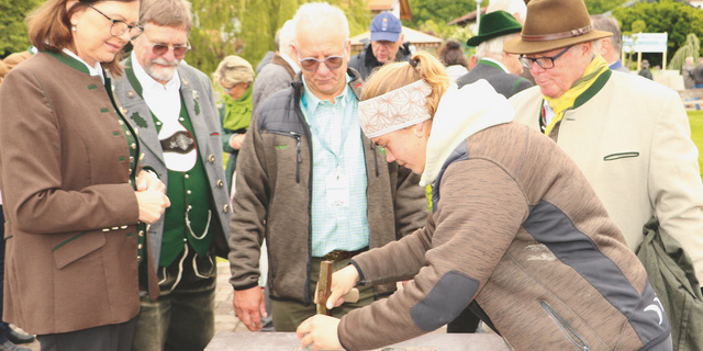 Ausbildung Ausbildung und Beruf