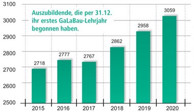 Ausbildung und Beruf