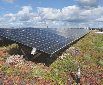 Solardächer Bauwerksbegrünung