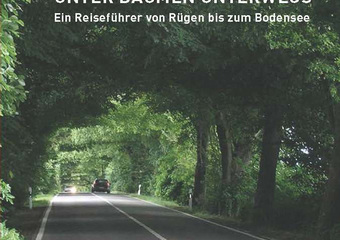 Alleen Straßenbegleitgrün