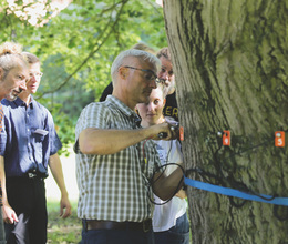 Baumpflegetage in Osnabrück mit vielen Praxis-Workshops
