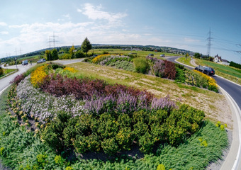 Verkehrsgrün Straßenbau und Verkehrswesen