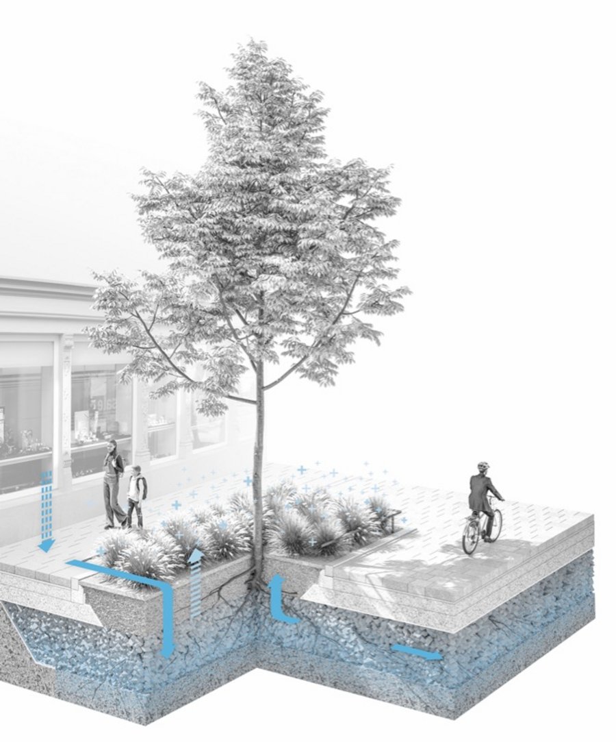 Regenwassermanagement Stadtbäume