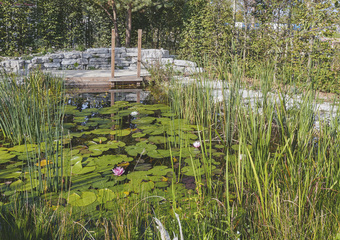 LGS Kirchheim 2024 Gartengestaltung