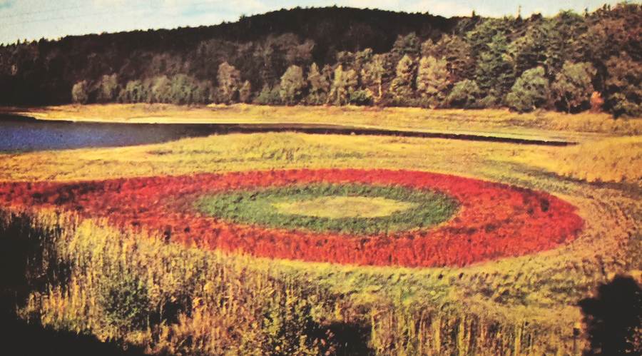 Artenvielfalt Landschaftsarchitektur