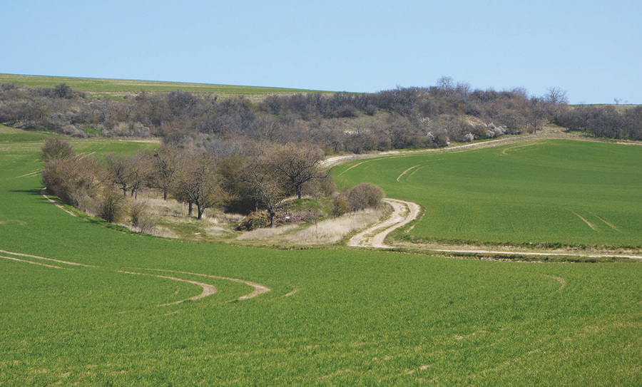 Artenvielfalt Landschaftsarchitektur